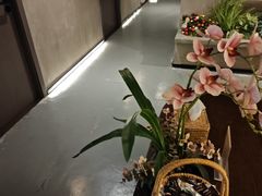 -施奈儿.洗头頭療.按摩SPA.采耳(上梅林店)