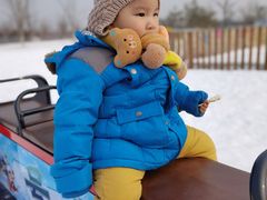 -绿野森林乐园冰雪季