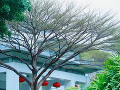 -深圳国际园林花卉博览园