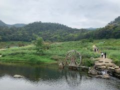 -广州市石门国家森林公园