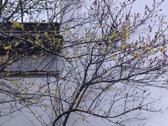 -八大山人梅湖景区