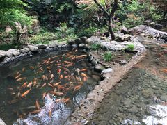 -千岛湖品鱼馆(钓鱼岛店)