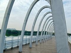 -大兴滨河森林公园