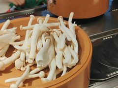 -龍歌自助小火锅(市南金茂湾店)