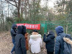 -紫金山山顶公园
