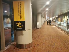 -贾特拉帕蒂·希瓦吉国际机场