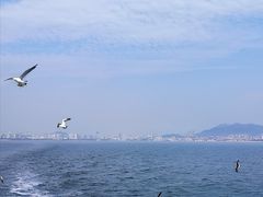 -刘公岛景区