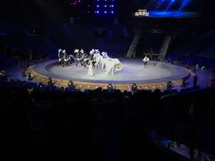 -珠海横琴长隆《卡卡虎奇遇记》