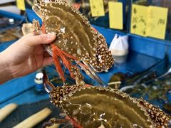 -粤盛海鲜平价店(洛溪食街店)