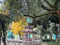 -杨记海鲜楼(三门黑金冠店)