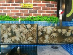 蒸汽八抓鱼-蟹谢蒸鲜自助餐厅