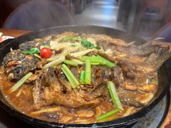 -老板恋上鱼(恒隆广场店)