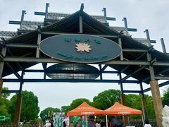 -荷塘月色湿地公园·向阳花洲