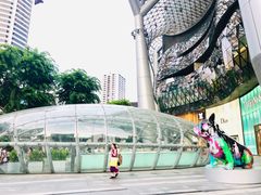 -爱雍·乌节
