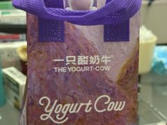 -一只酸奶牛(双流万达广场店)