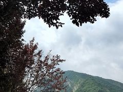 -少华山国家森林公园