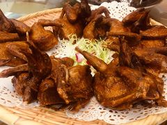 -五谷芳乳鸽王（大梅沙总店C区）(网红打卡店)