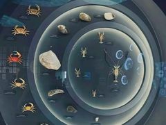 -中国湿地博物馆