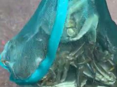 -江杨农产品批发市场