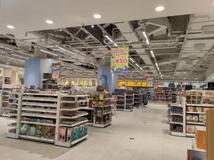 -TOYSRUS玩具反斗城(合肥华润万象城店)