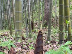 -古隆中景区
