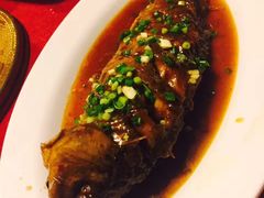 -大酒缸(高碑店文化新大街店)