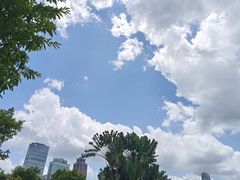 -万绿园