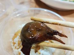 -龙小海荆沙鸽子店(瑞安街店)