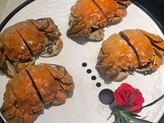 -马头巷·食景园(苏州总店)