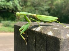 -宁波五龙潭景区