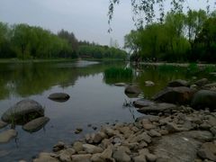 -新江湾城公园