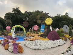 -上海共青森林公园