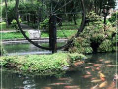 -莫里热带雨林景区