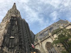 -斯蒂芬主教座堂(Stephansdom)