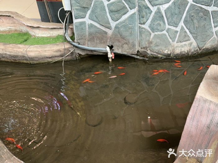 和源祥·日照菜扛把子(万平口一店)图片