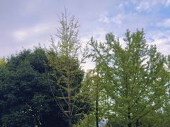 -浙江农林大学(东湖校区)