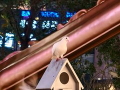 -中航城君尚购物中心