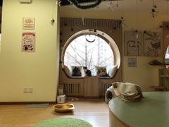 -猫和宫(六道口店)