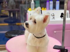 -FAELING PETS美天灵宠物(富力广场店)