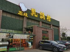 -石岐乳鸽村(南海第三分店)