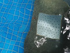 -仁爱团泊湖温泉中心