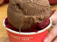 -Patagonia Chocolates(皇后镇店)