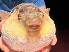 -永安鱼庄·镇江菜(东吴路店)