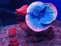 -蓬莱欧乐堡海洋极地世界