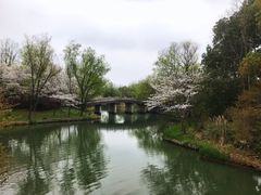 -摇橹船上船码头
