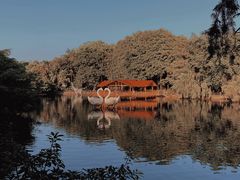 -深圳野生动物园