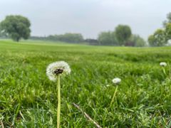 -北京京辉高尔夫俱乐部有限公司