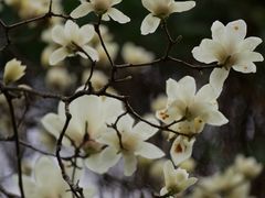 -成都杜甫草堂博物馆
