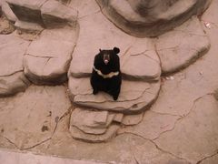 -石家庄市动物园