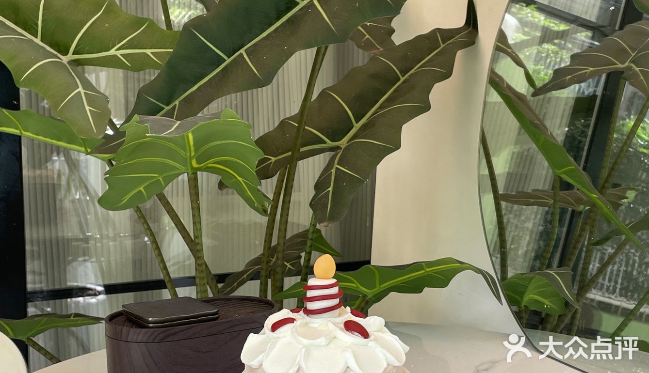 长沙｜老社区的蛋糕甜品店环境也太舒服啦…